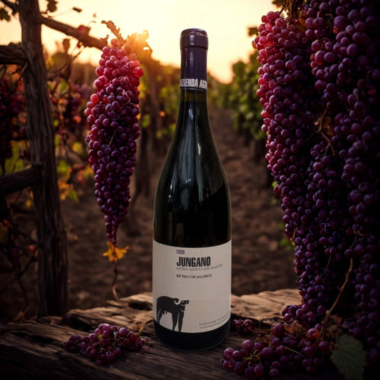 AGLIANICO JUNGANO IGP 2020