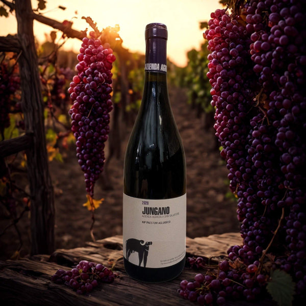 AGLIANICO JUNGANO IGP 2020