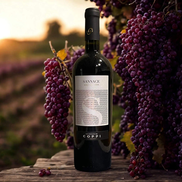MALVASIA NERA SANNACE  I.G.P. PUGLIA