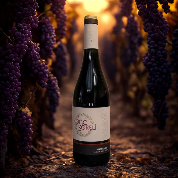 MERLOT DELLE AMARENE