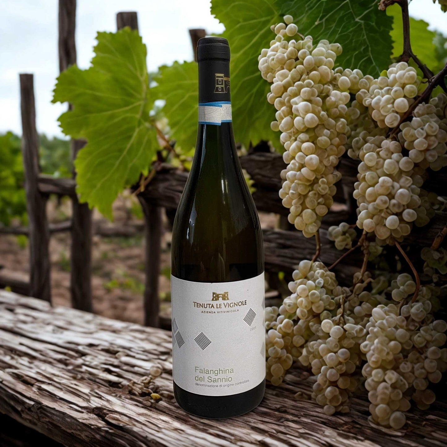 FALANGHINA DEL SANNIO DOC