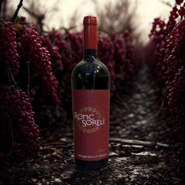 PREPOTTO 2011 RESERVA SCHIOPPETTINO-RONC SORELI
