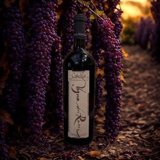 AGLIANICO VIGNA DEI RUSSI DOP 2016