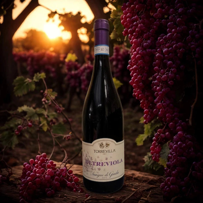 BARBERA SANGUE DI GIUDA DOP OLTREVIOLA