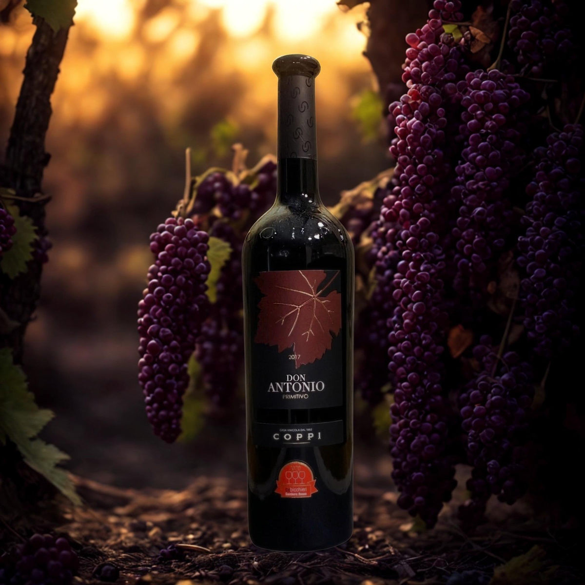 PRIMITIVO DON ANTONIO IGP PUGLIA-2017-COPPI