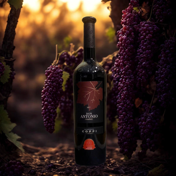 PRIMITIVO DON ANTONIO IGP PUGLIA-2017-COPPI