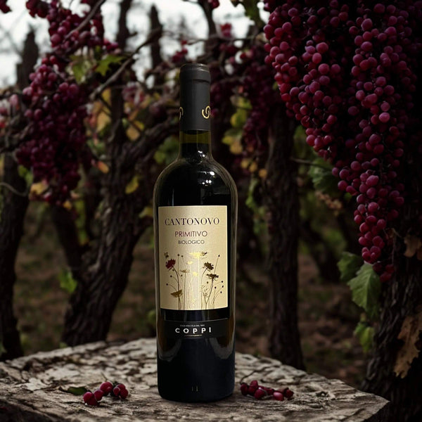 PRIMITIVO CANTONOVO ECOLÓGICO IGP PUGLIA-COPPI