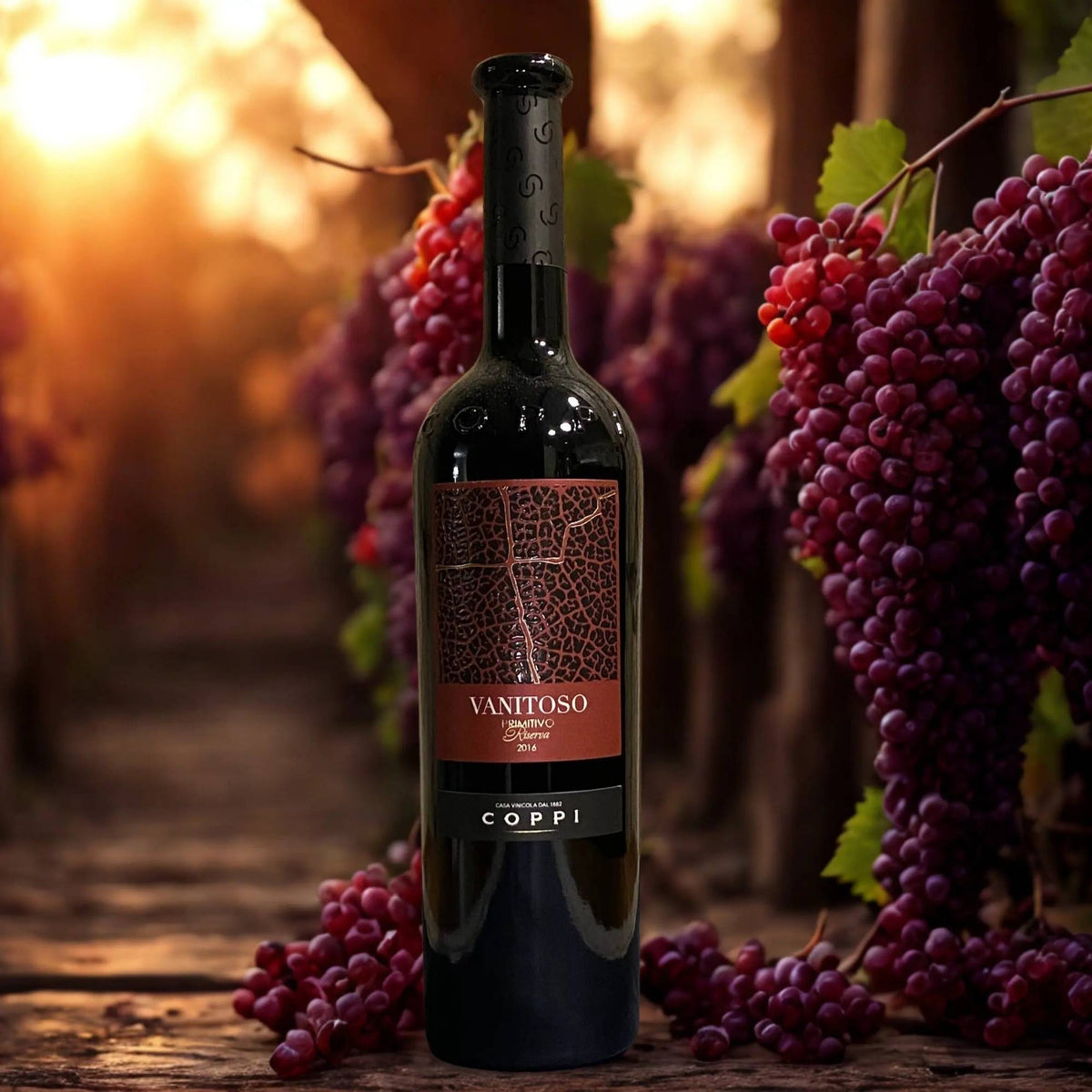 PRIMITIVO VANITOSO D.O.C. GIOIA DEL COLLE RISERVA