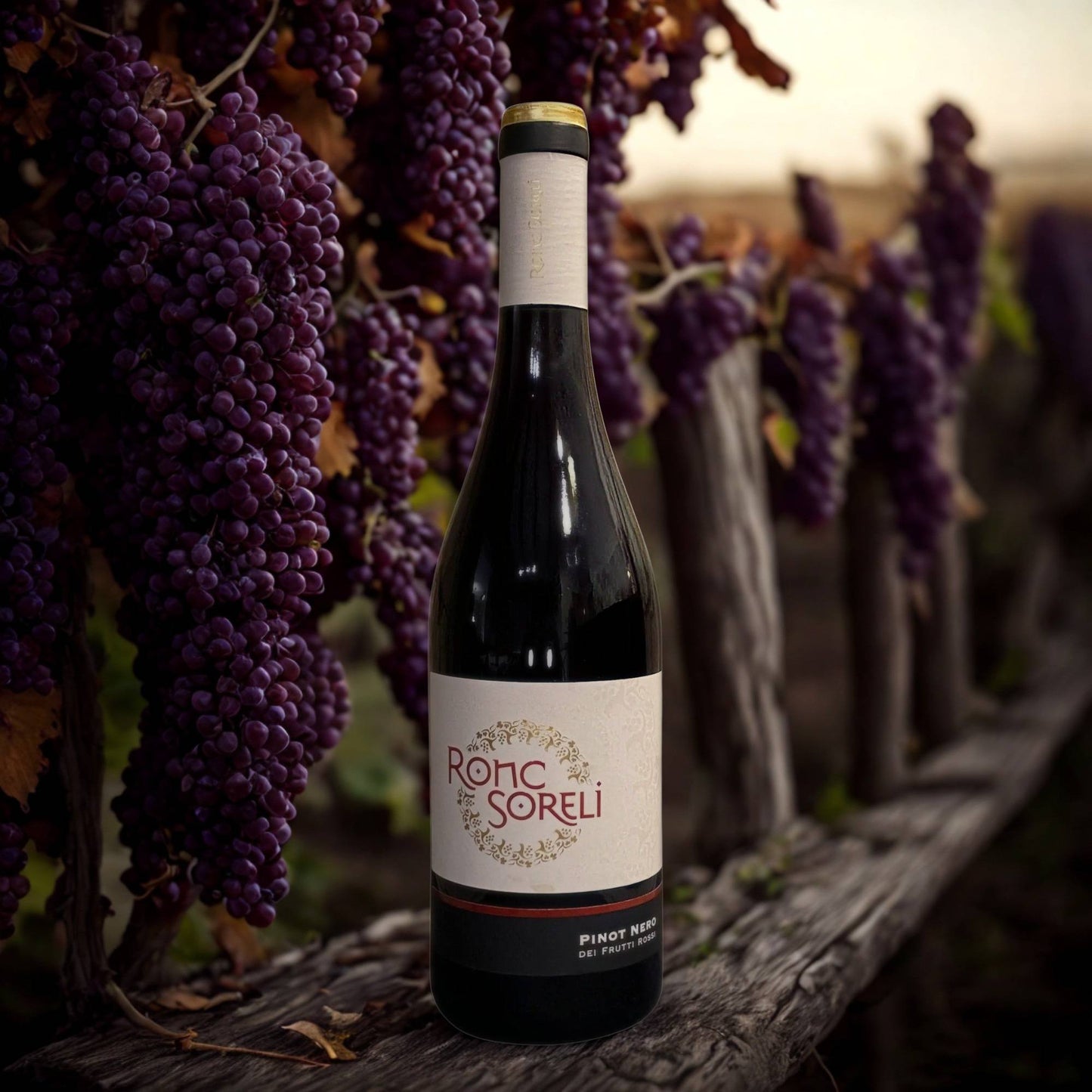 PINOT NERO DEI FRUTTI ROSSI