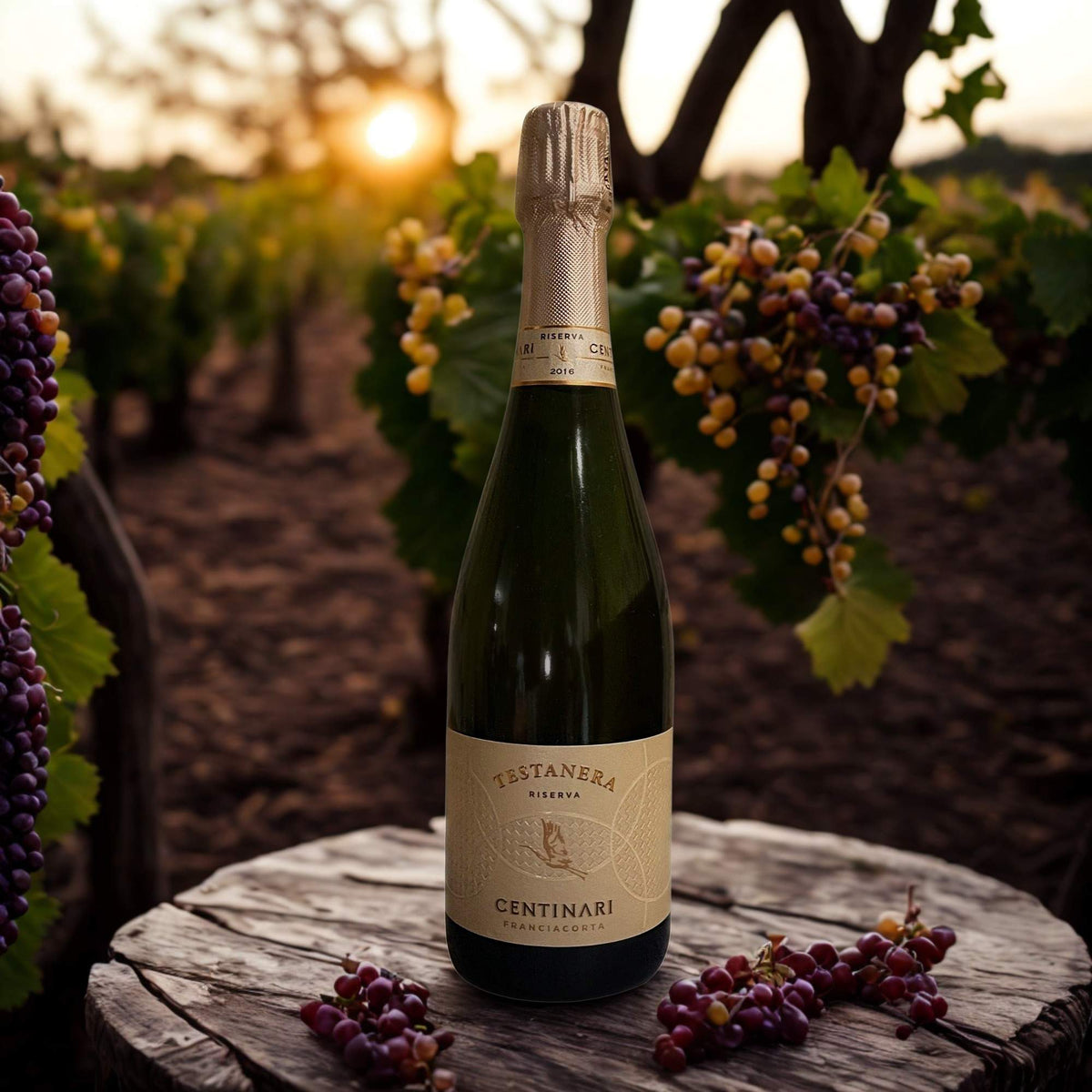 CHARDONNAY FRANCIACORTA TESTANERA RISERVA