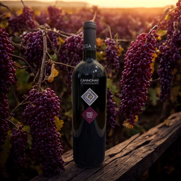 CANNONAU PRIMO SCURO MESA DI SARDEGNA DOC 2022