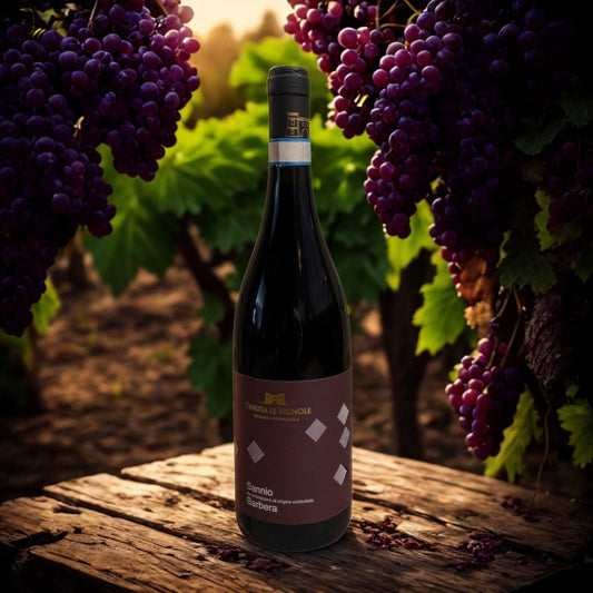 SANNIO BARBERA DOC