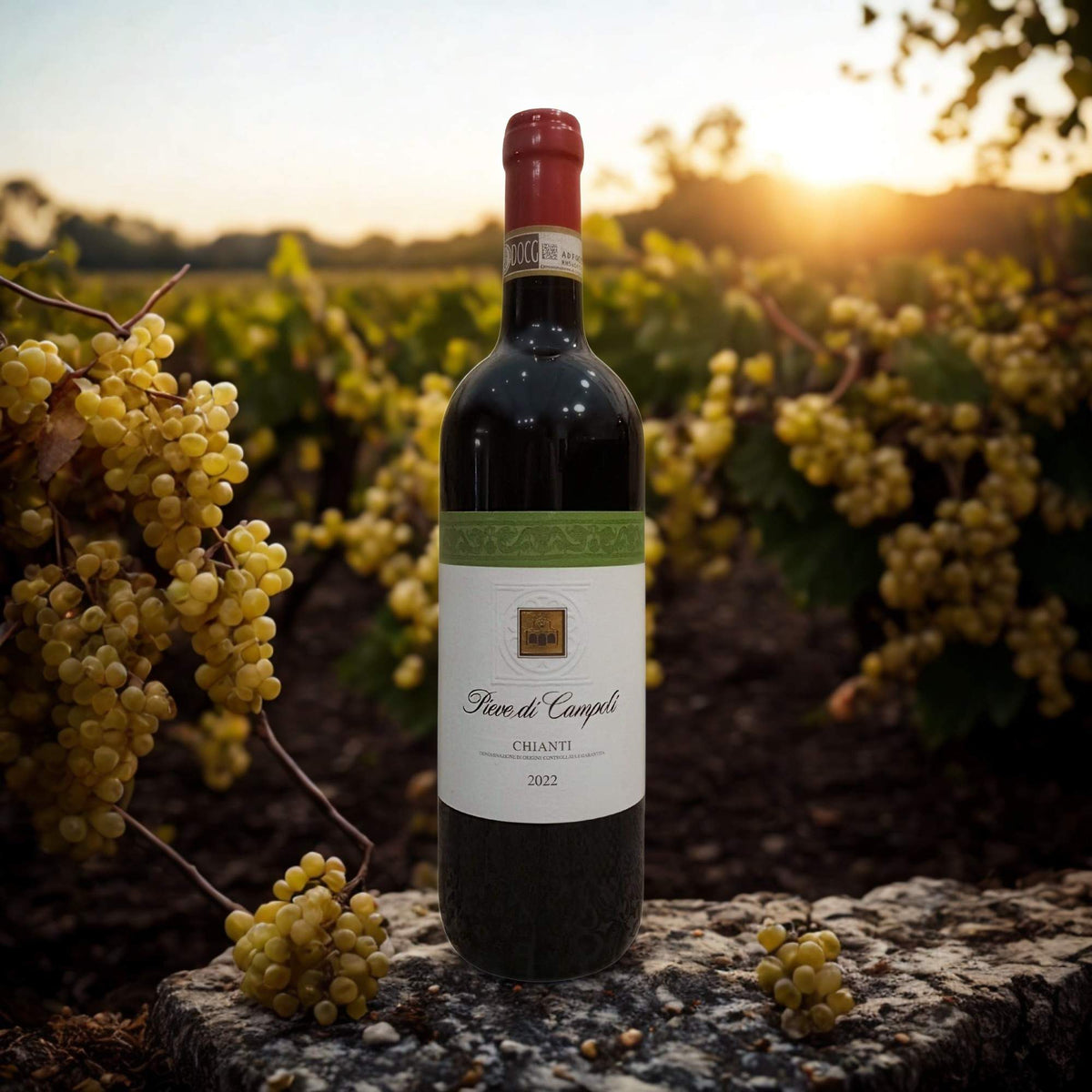 CHIANTI DOCG 2024