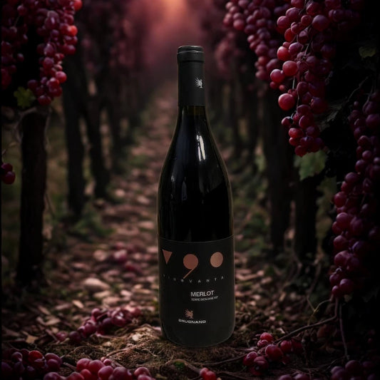 V 90 MERLOT