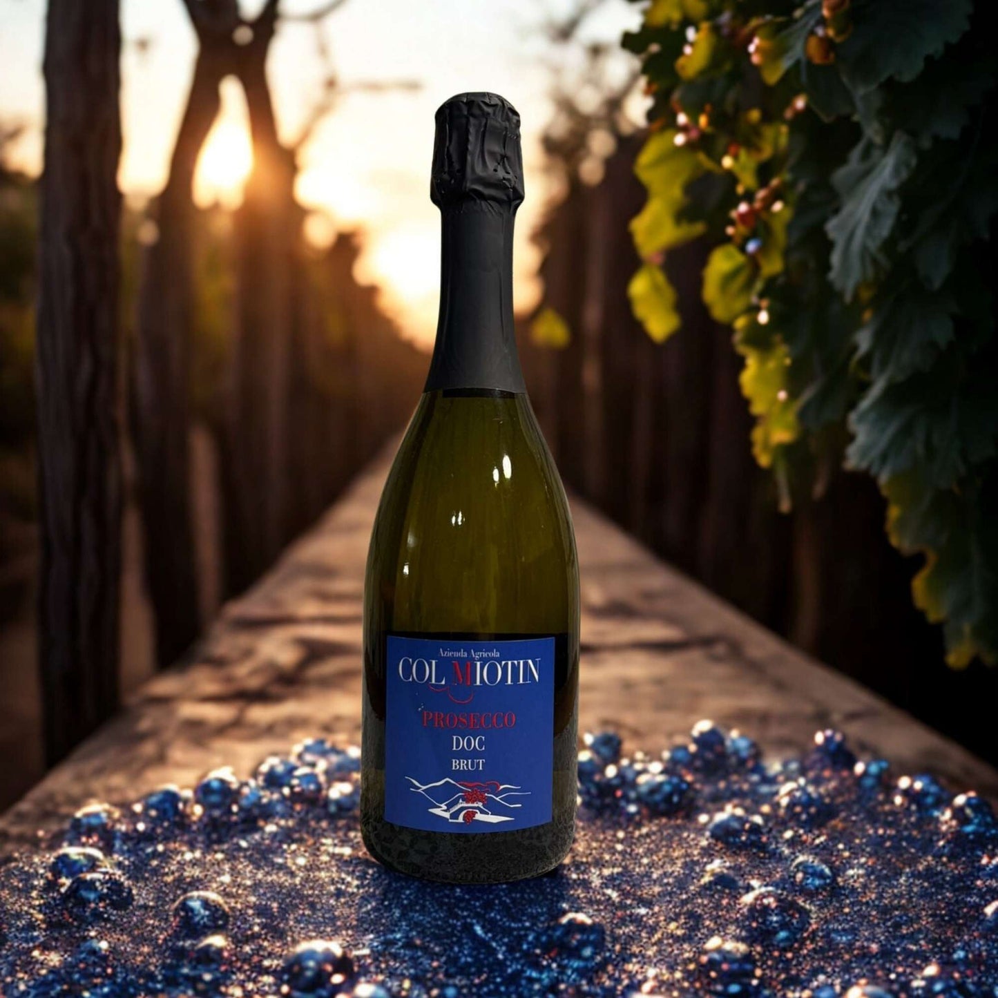 PROSECCO MR. BLUE BRUT DOC