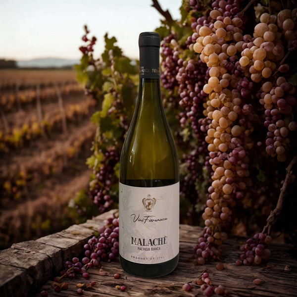 MALVASIA MALACHÈ