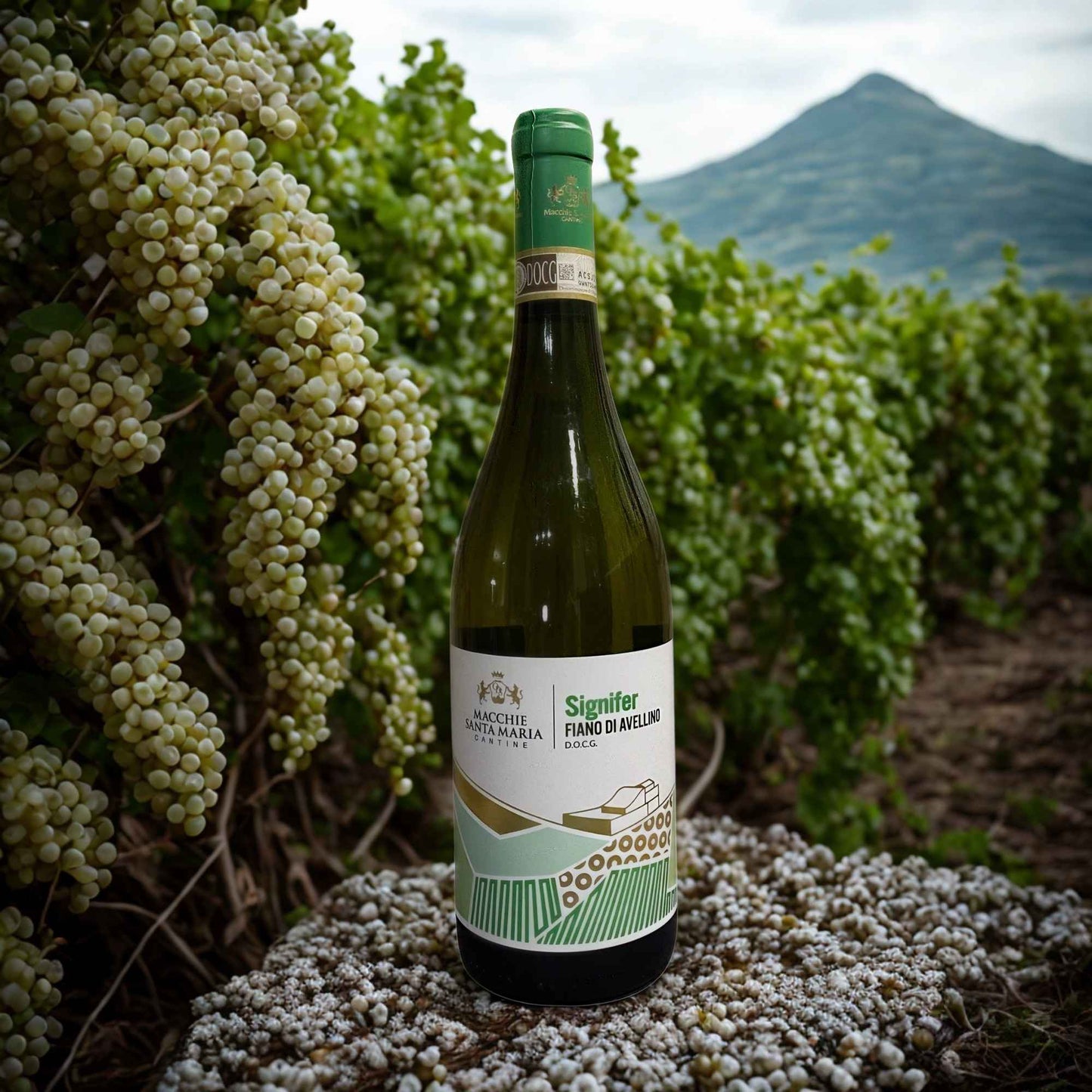 FIANO DI AVELLINO SIGNIFER 2022 DOCG