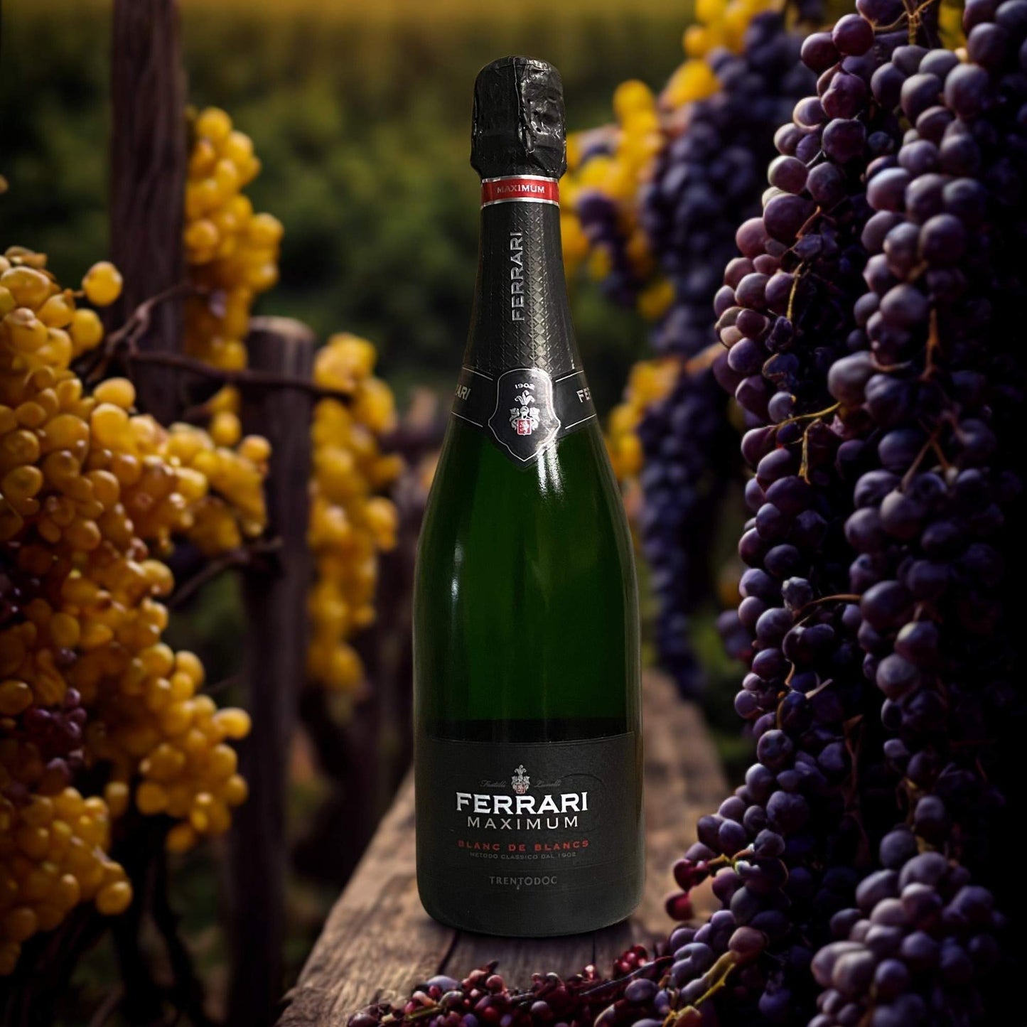 FERRARI MAXIMUM BLANC DE BLANCS