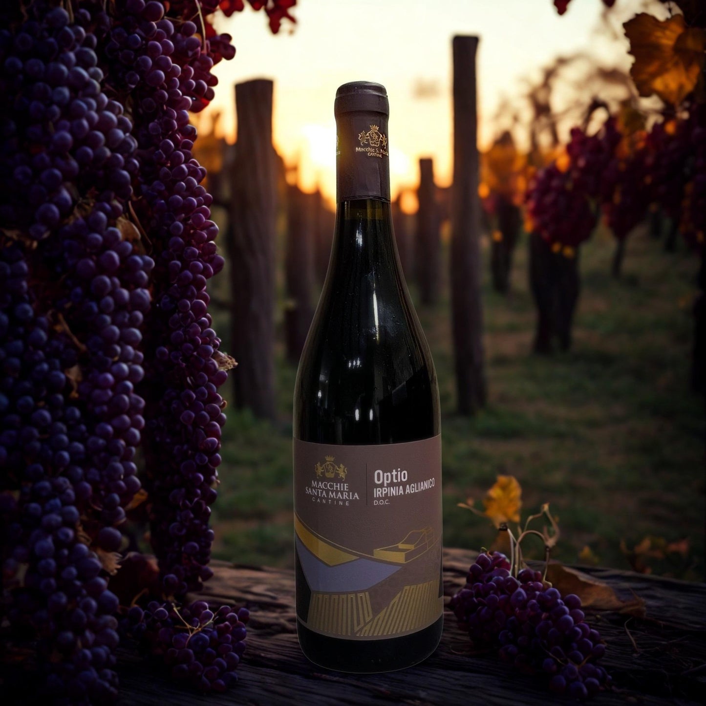 AGLIANICO OPTIO IRPINIA DOC 2018