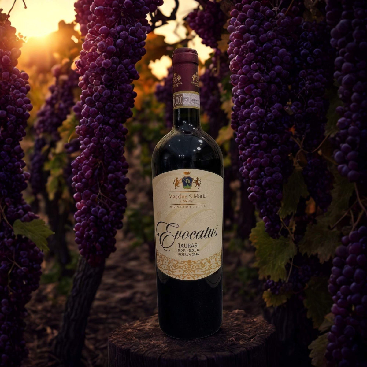 AGLIANICO EVOCATUS TAURASI RISERVA 2016