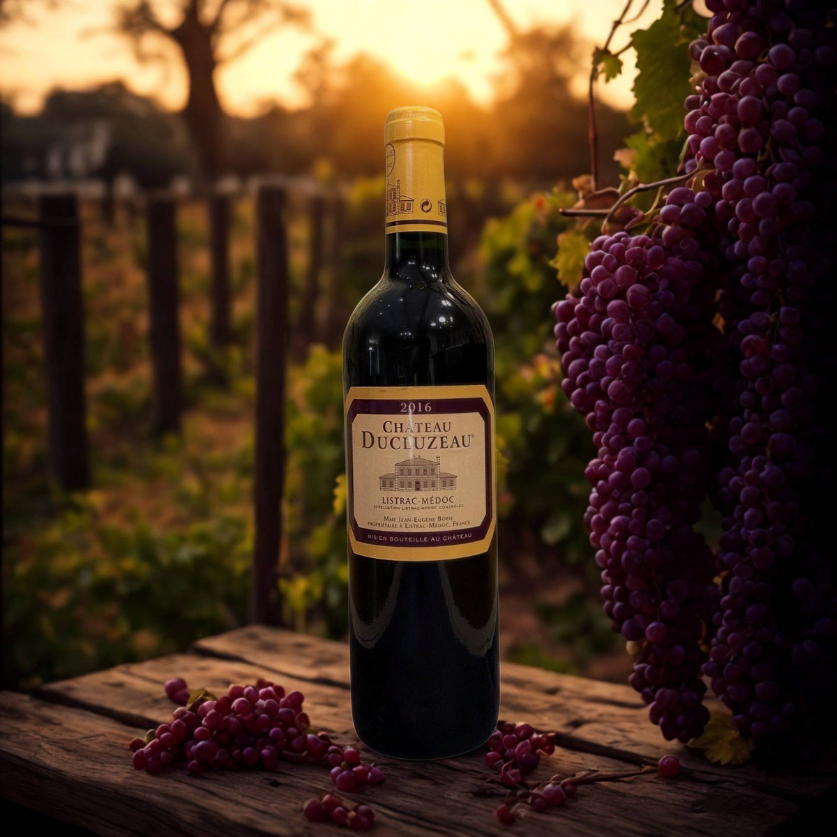 MERLOT LISTRAC MEDOC 2016