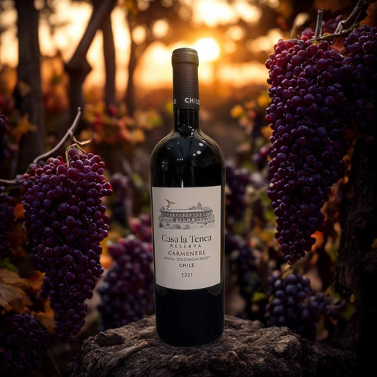 CARMENERE RESERVA 2021