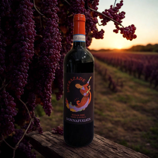 NERO D'AVOLA SHERAZADE DOC 2021