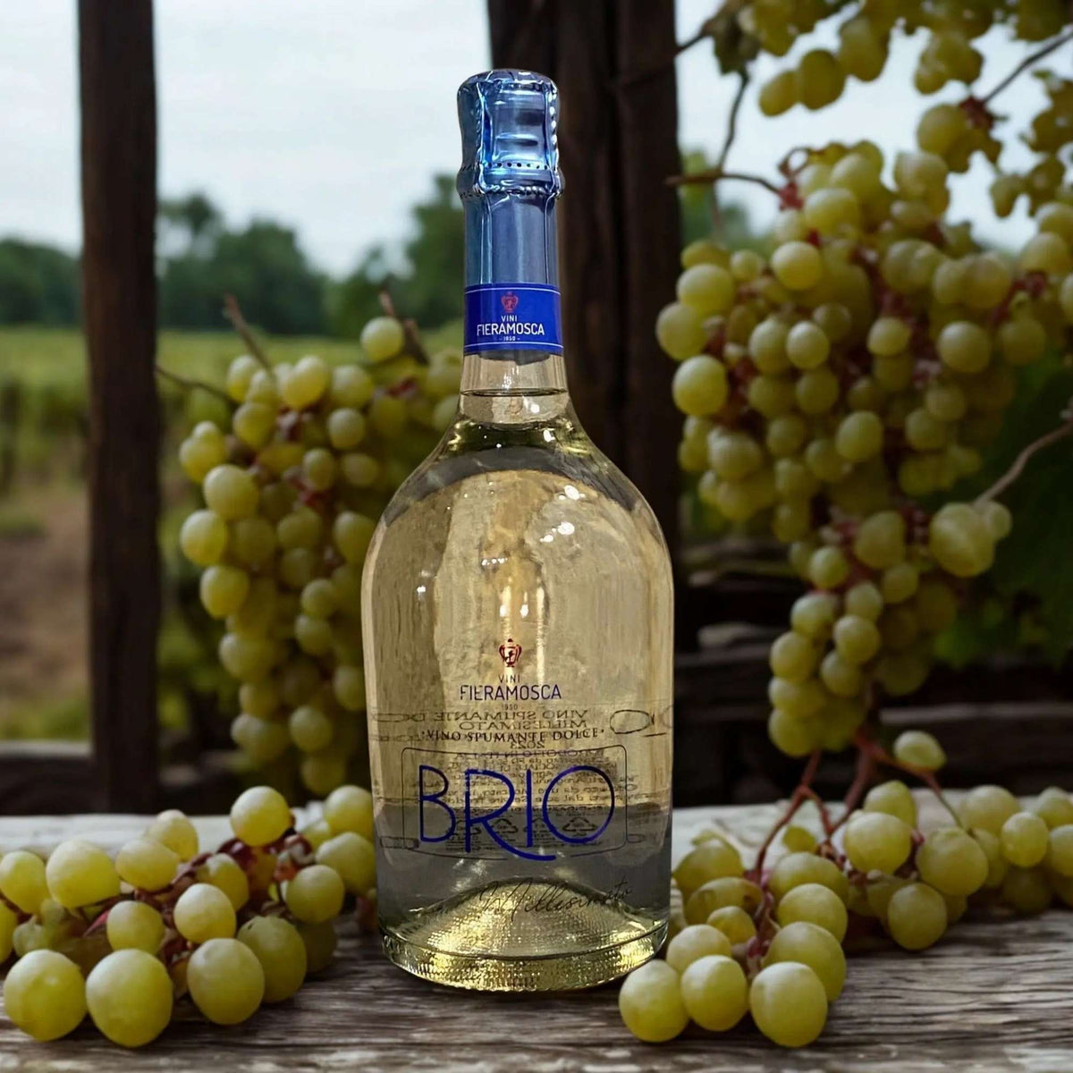 MOSCATO PROSECCO BRIO