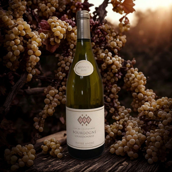 CHARDONNAY BOURGOGNE 2020 – PIERRE ANDRÉ
