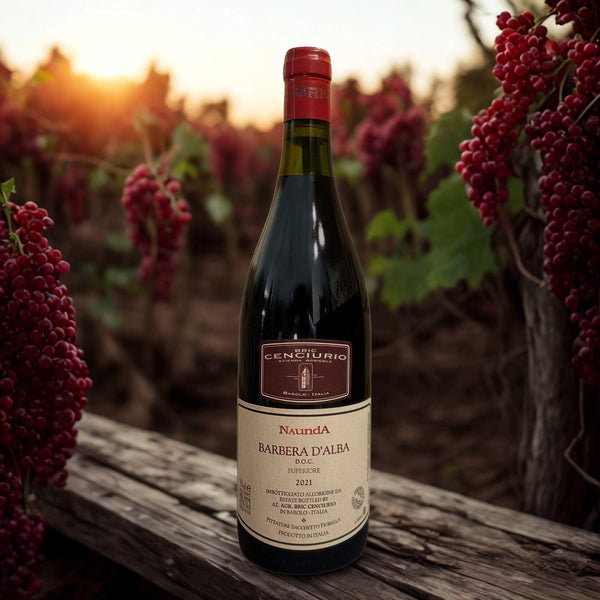 BARBERA NAUNDA D'ALBA DOC SUPERIORE 2021