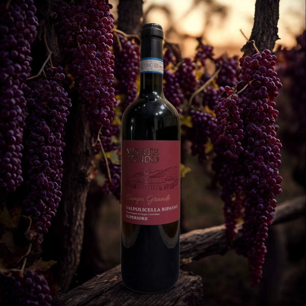 VALPOLICELLA RIPASSO 2023 MONTE TONDO