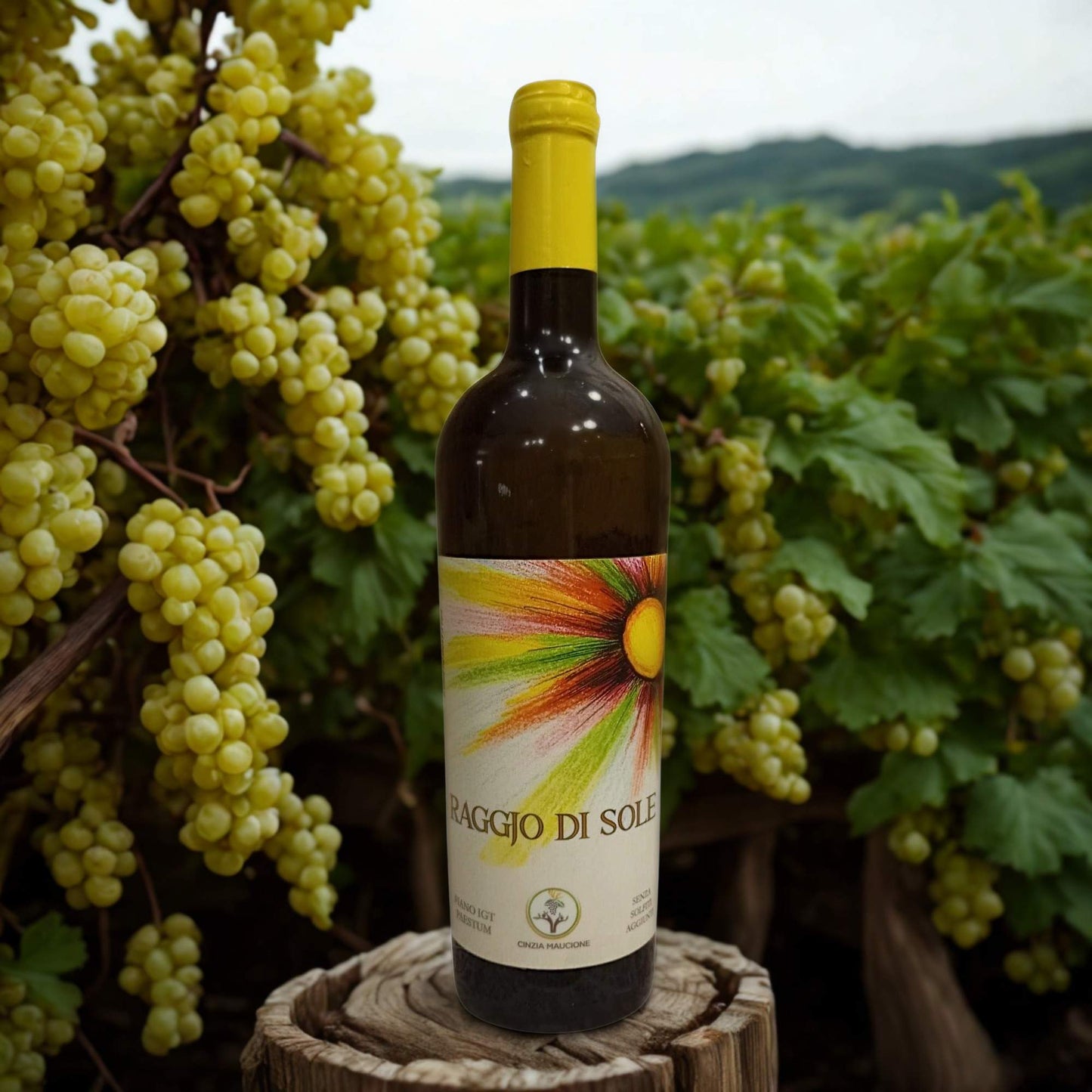 RAGGJO DI SOLE FIANO IGT PAESTUM