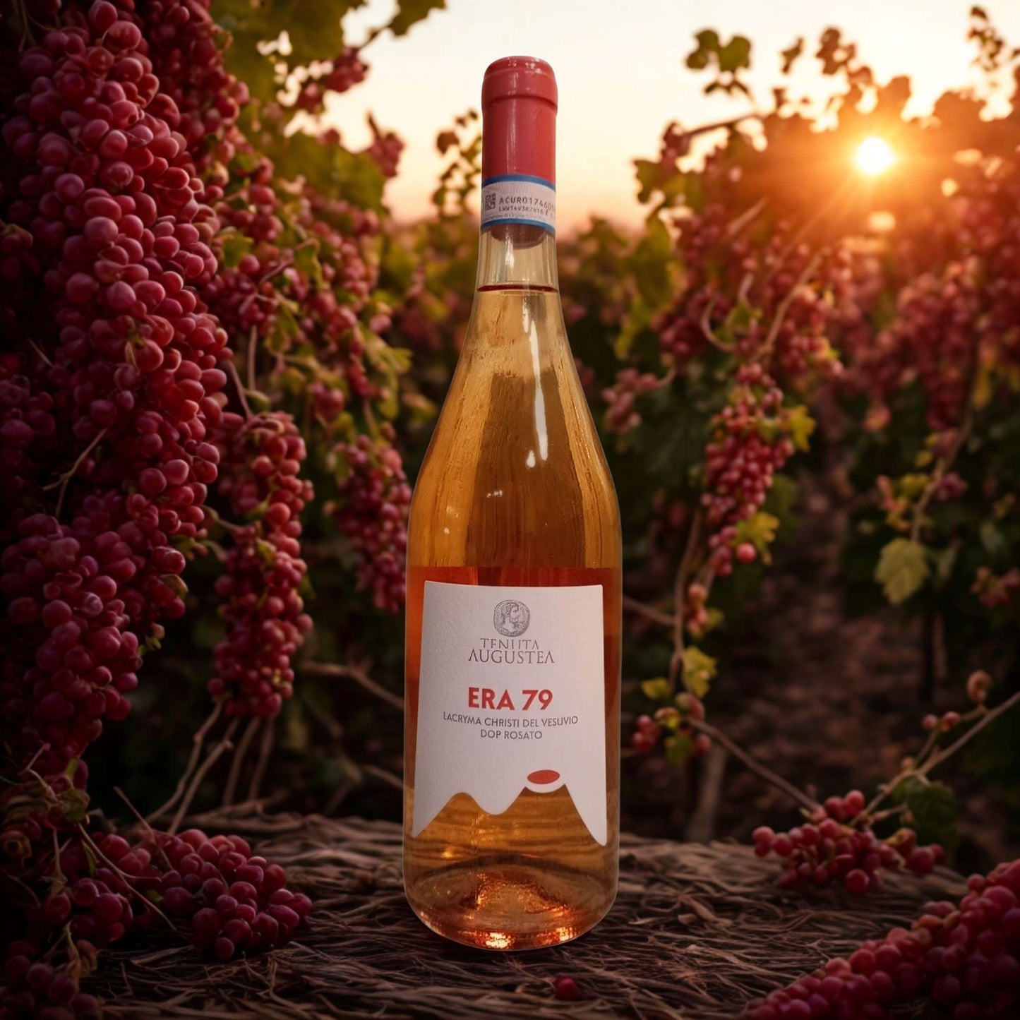 ERA 79 ROSATO