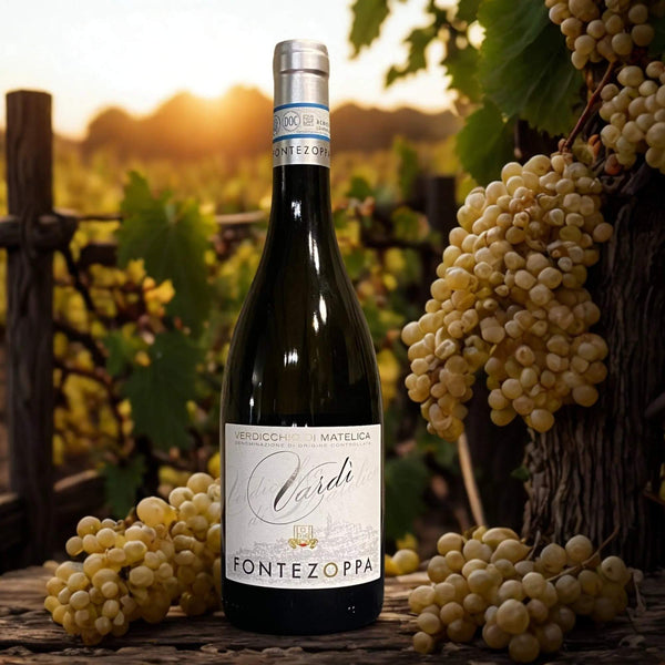SANGIOVESE VARDÌ