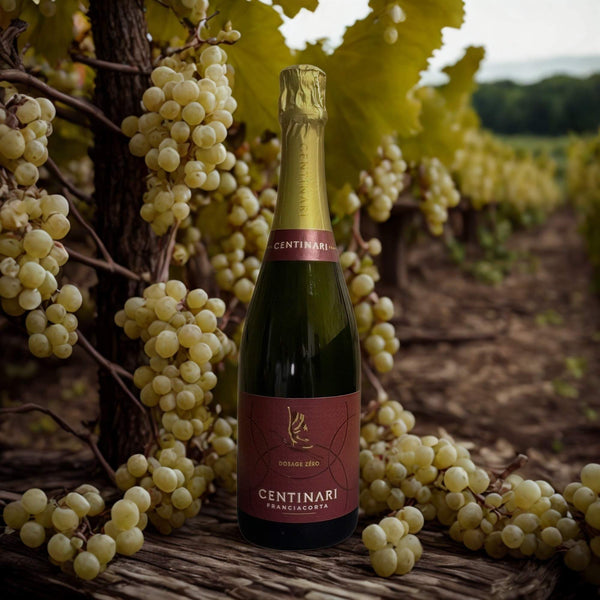 CHARDONNAY FRANCIACORTA NULL-CENTINARI-DOSIERUNG