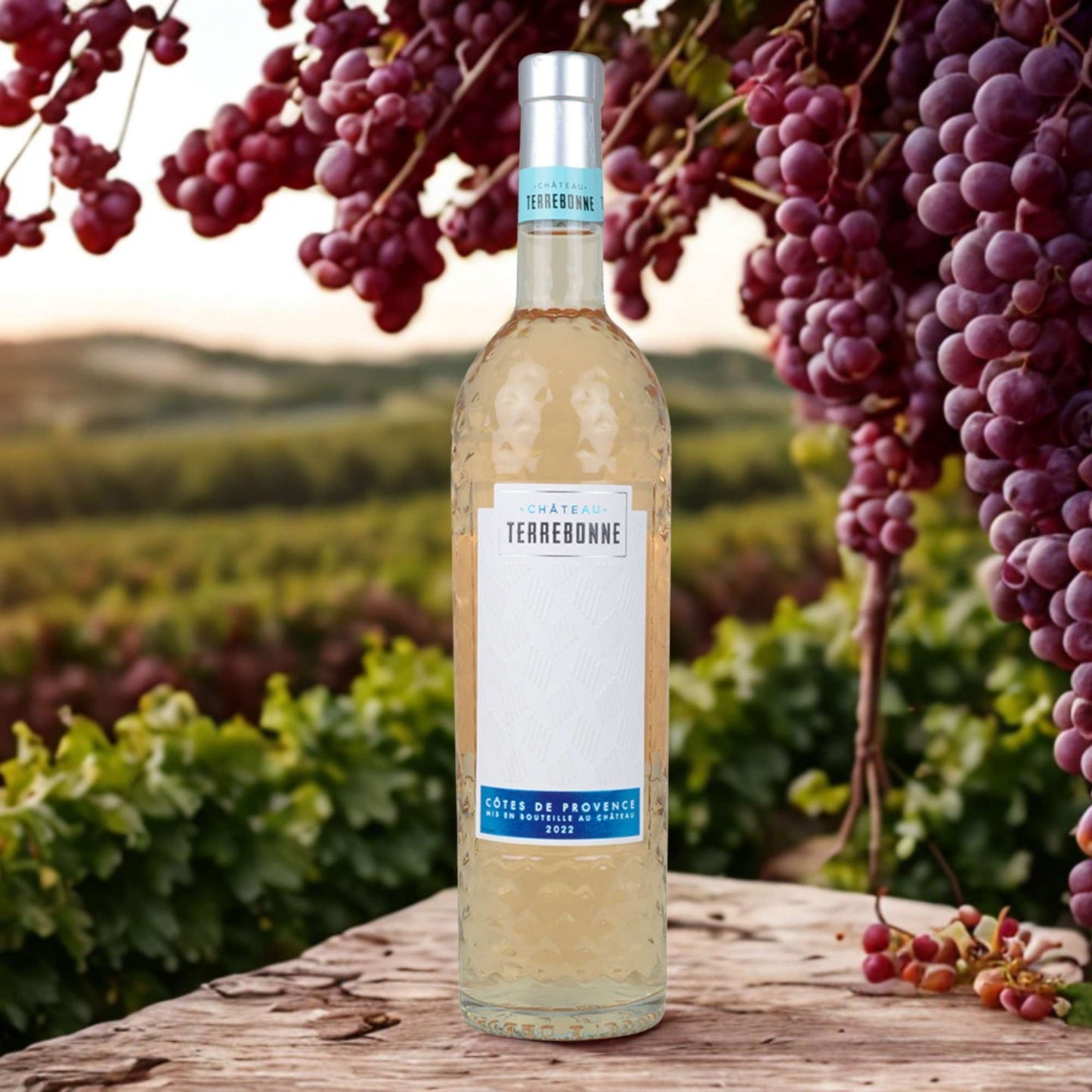 CHATEAU TERREBONNE