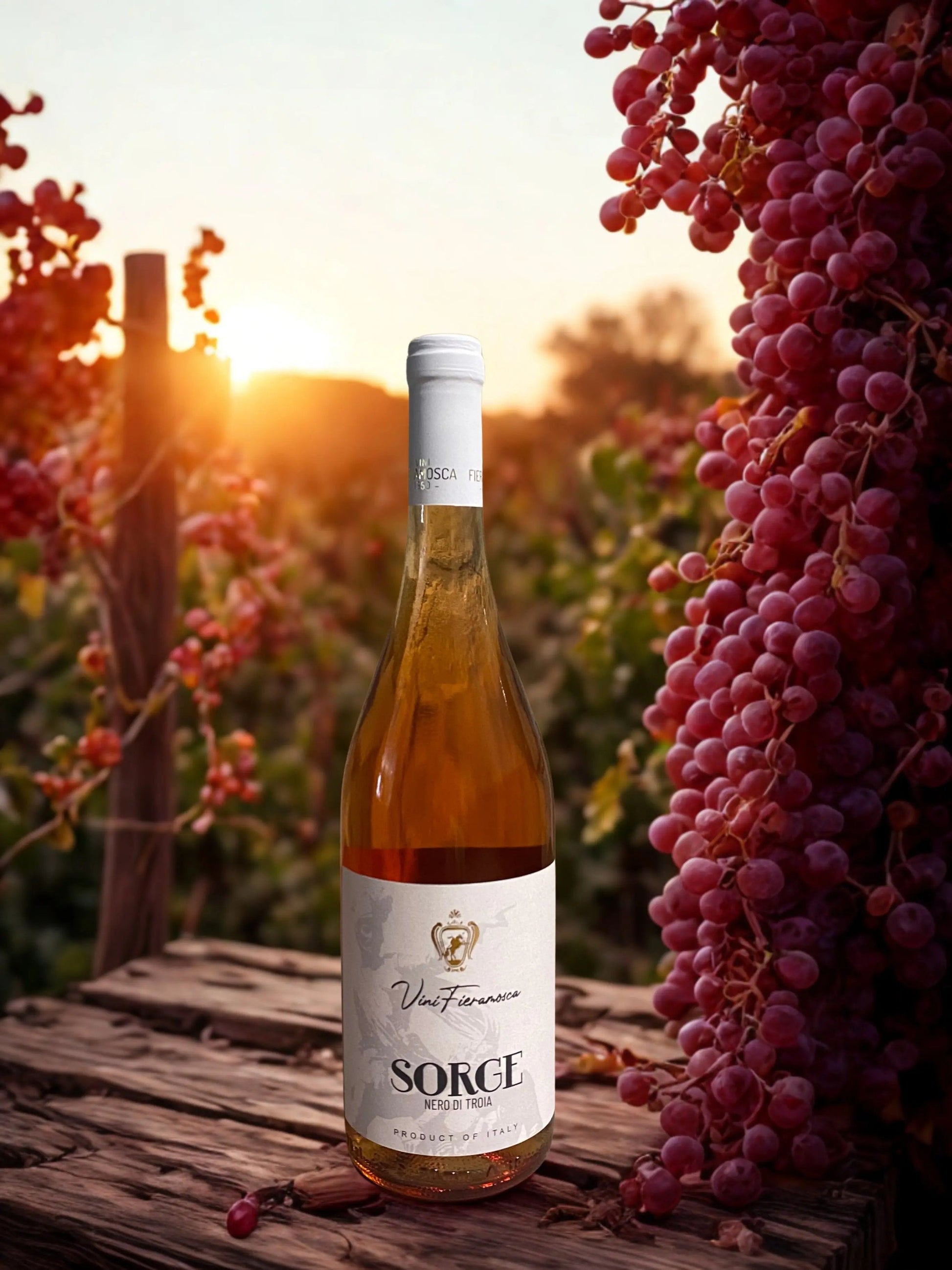 BUNDLE FIERAMOSCA Fast Bundle