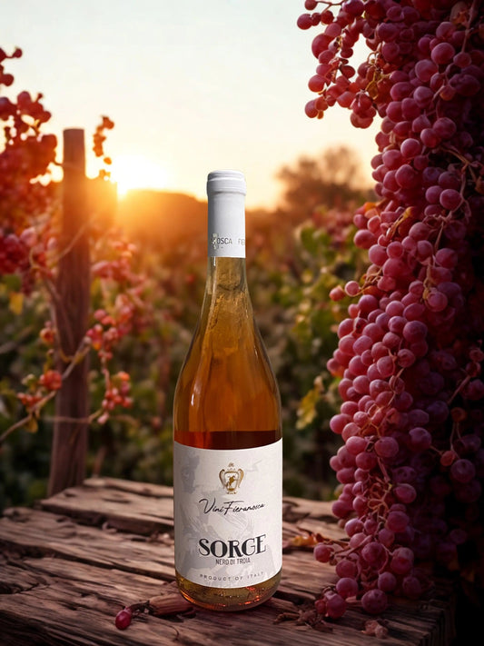 BUNDLE FIERAMOSCA Fast Bundle