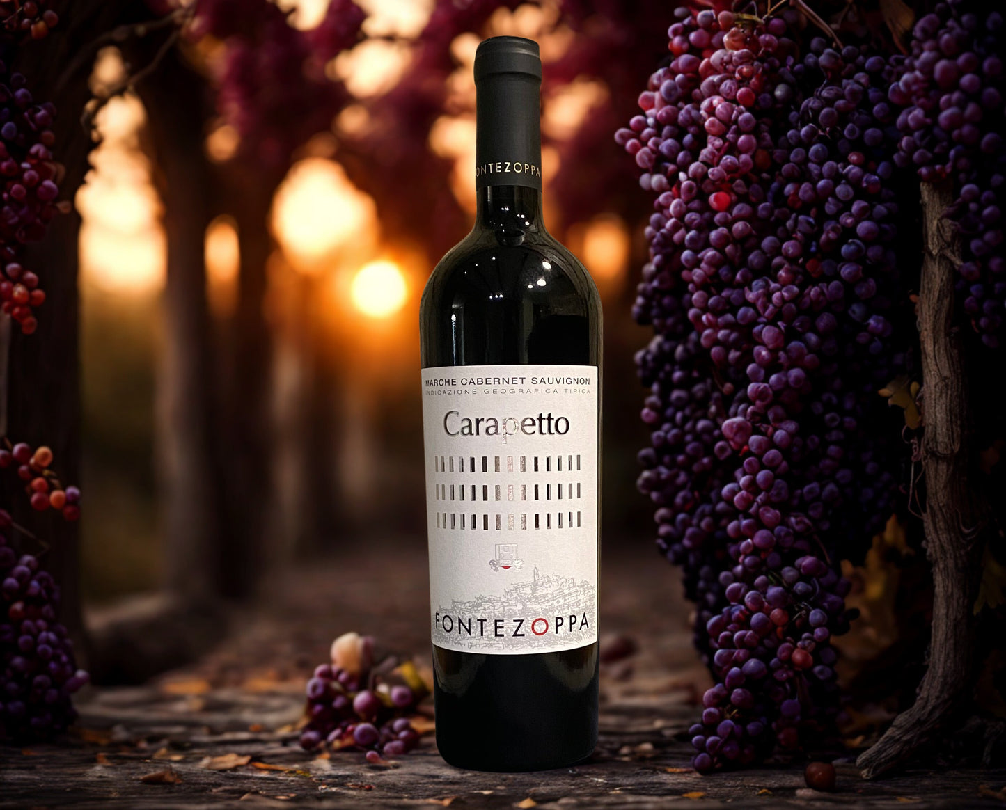 CABERNET SAUVIGNON CARAPETTO-FONTEZOPPA