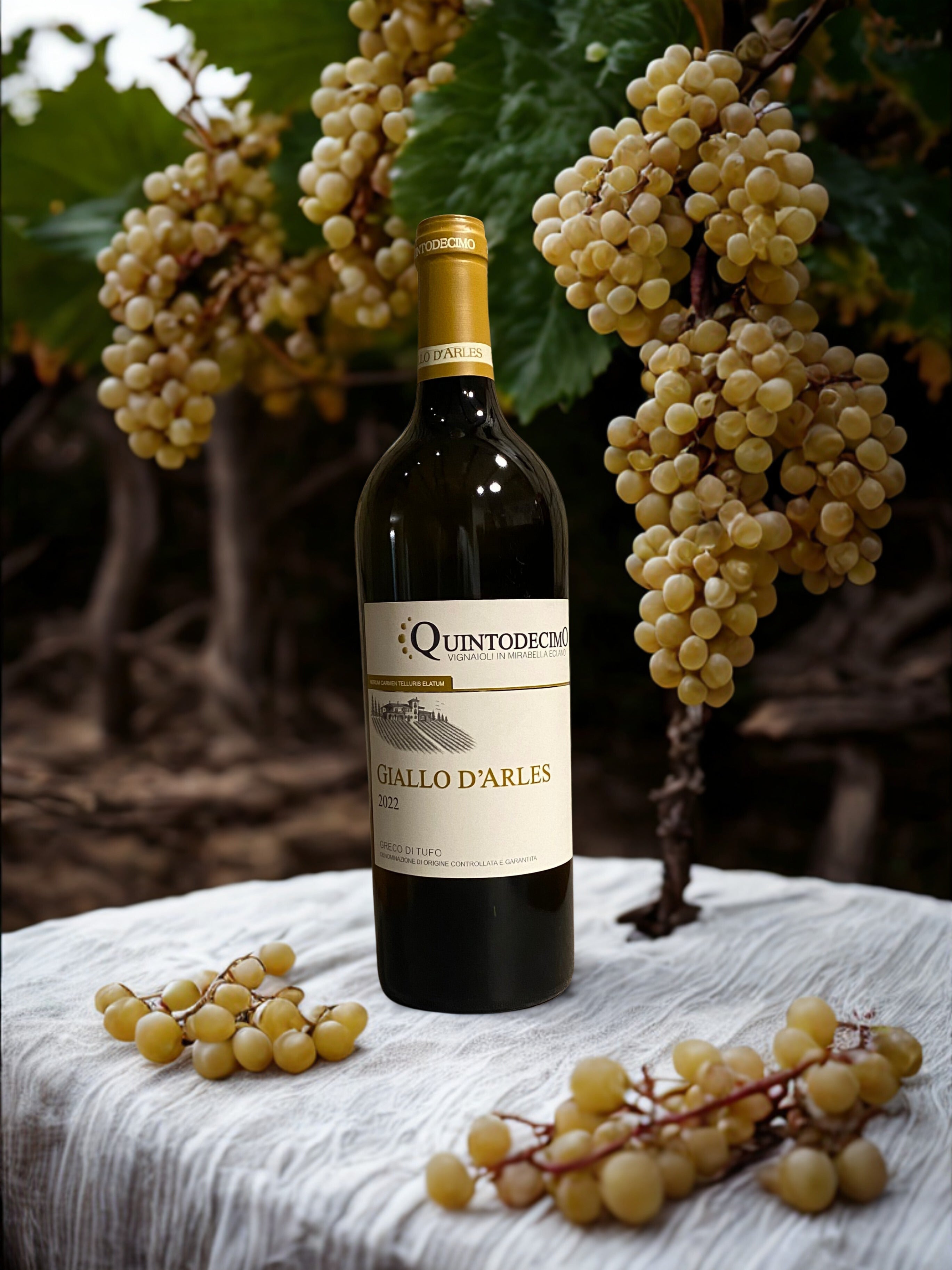 GIALLO D'ARLES-QUINTODECIMO QUINTODECIMO