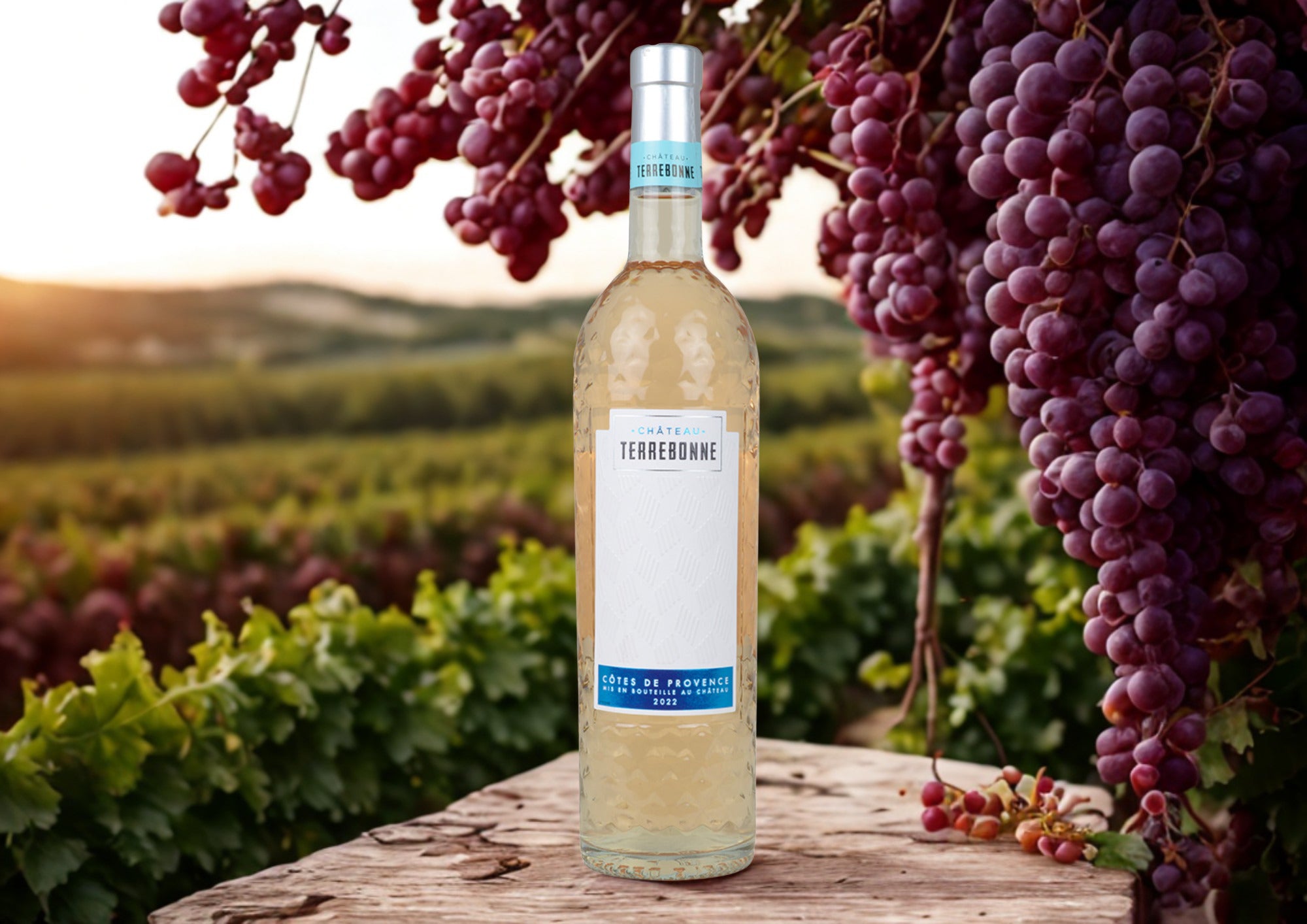 CHATEAU TERREBONNE