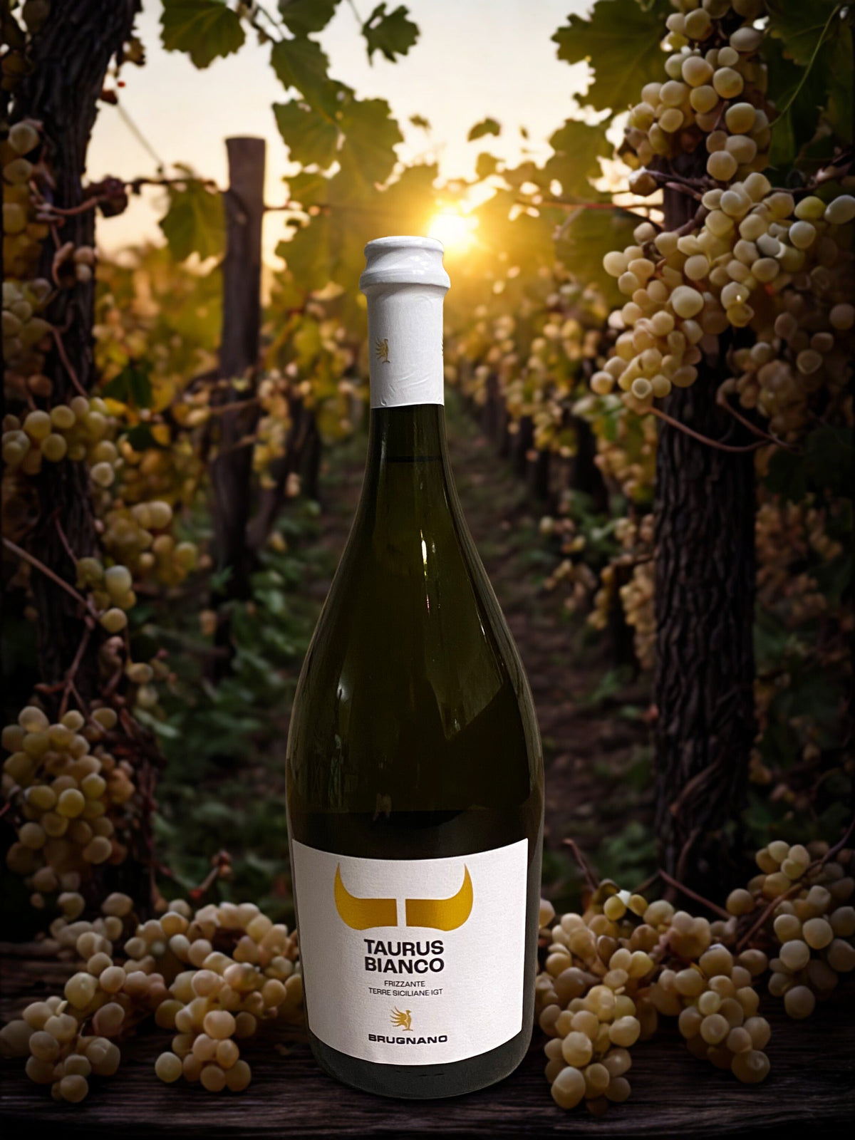 TAURUS BIANCO-BRUGNANO BRUGNANO