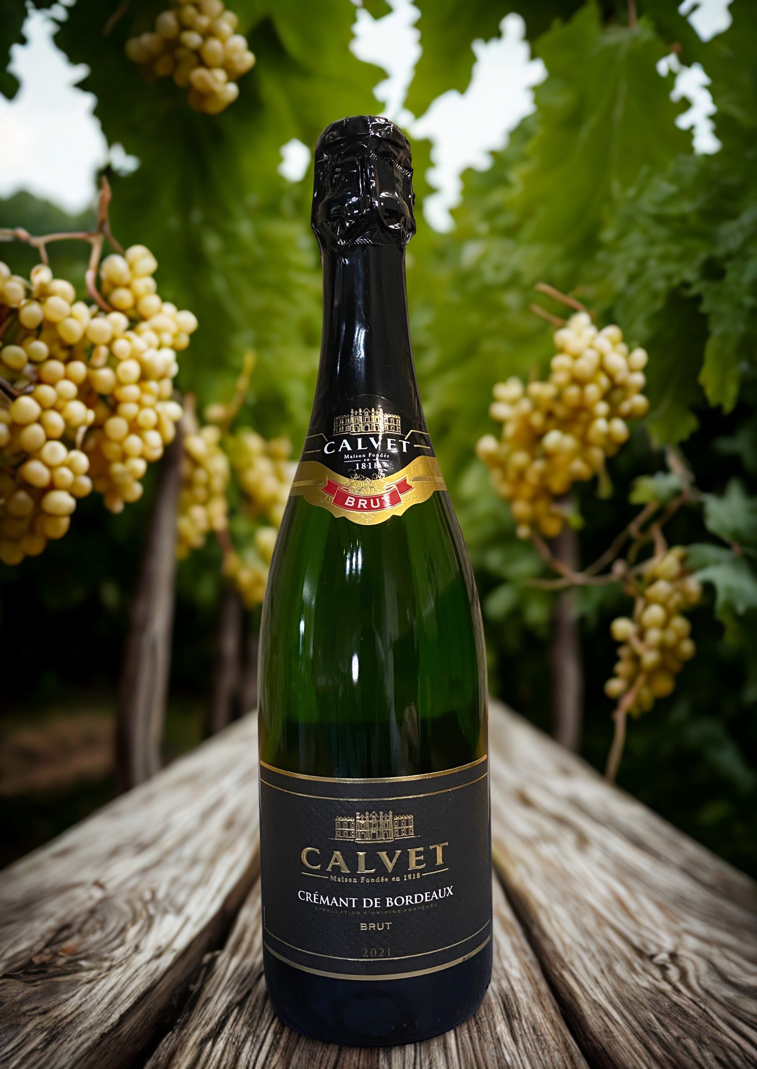 MERLOT CRÉMANT BRUT BLANC BORDEAUX Calvet