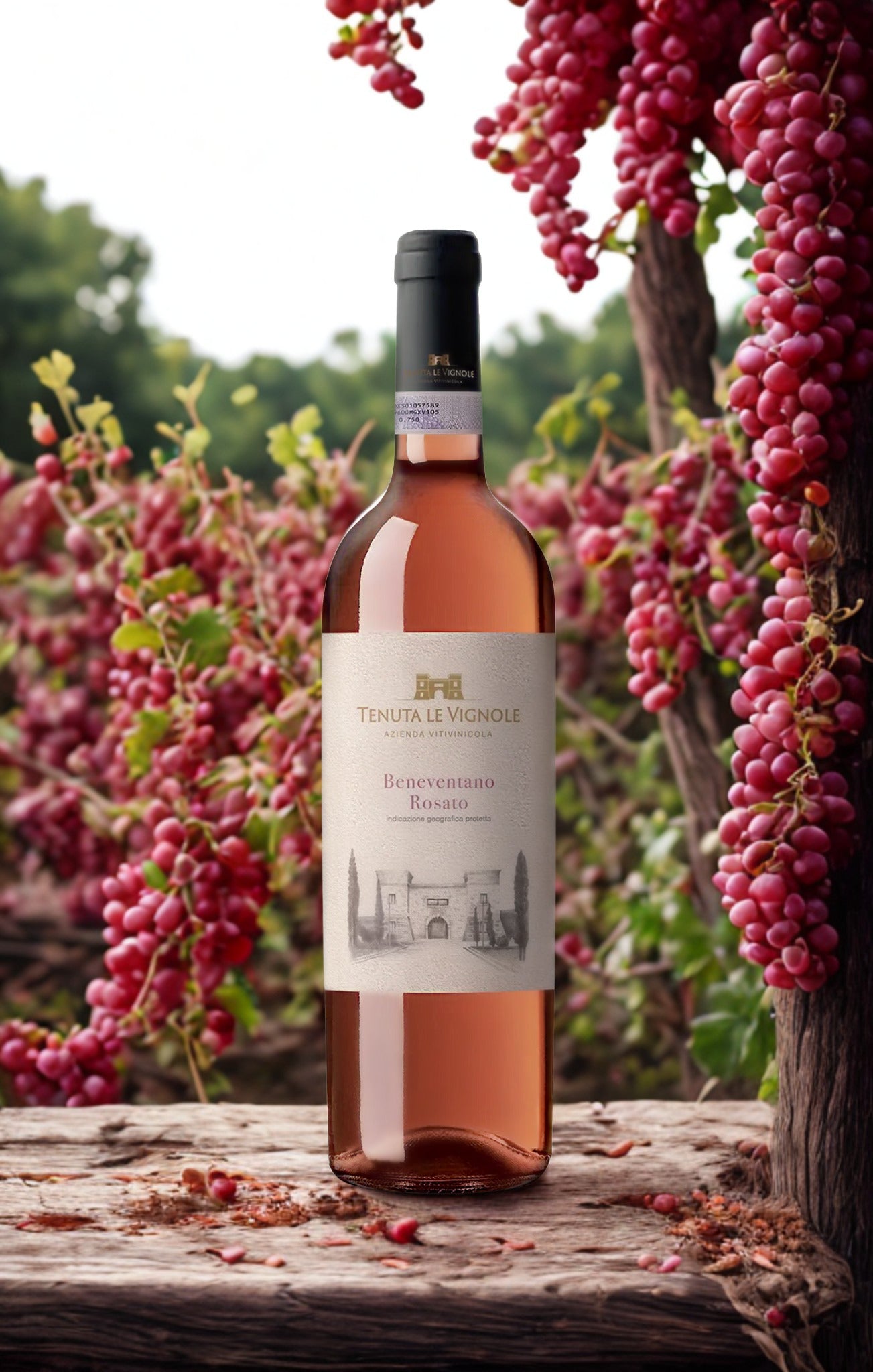ROSATO BENEVENTANO