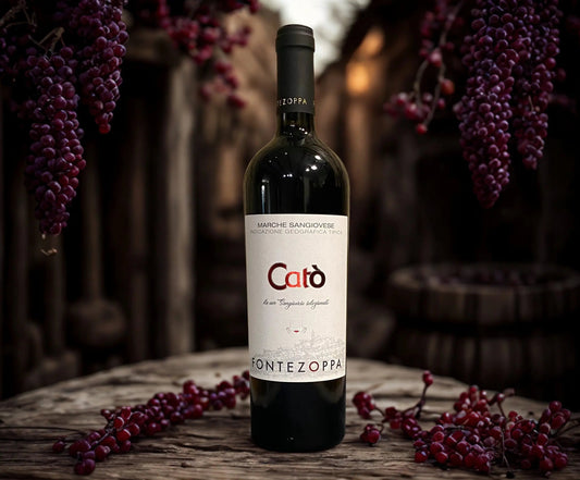 SANGIOVESE CATÒ-FONTEZOPPA Fontezoppa