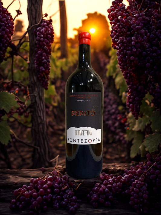PFEFFERIGER SCHWARZER VERNACCIA 1,5L-FONTEZOPPA
