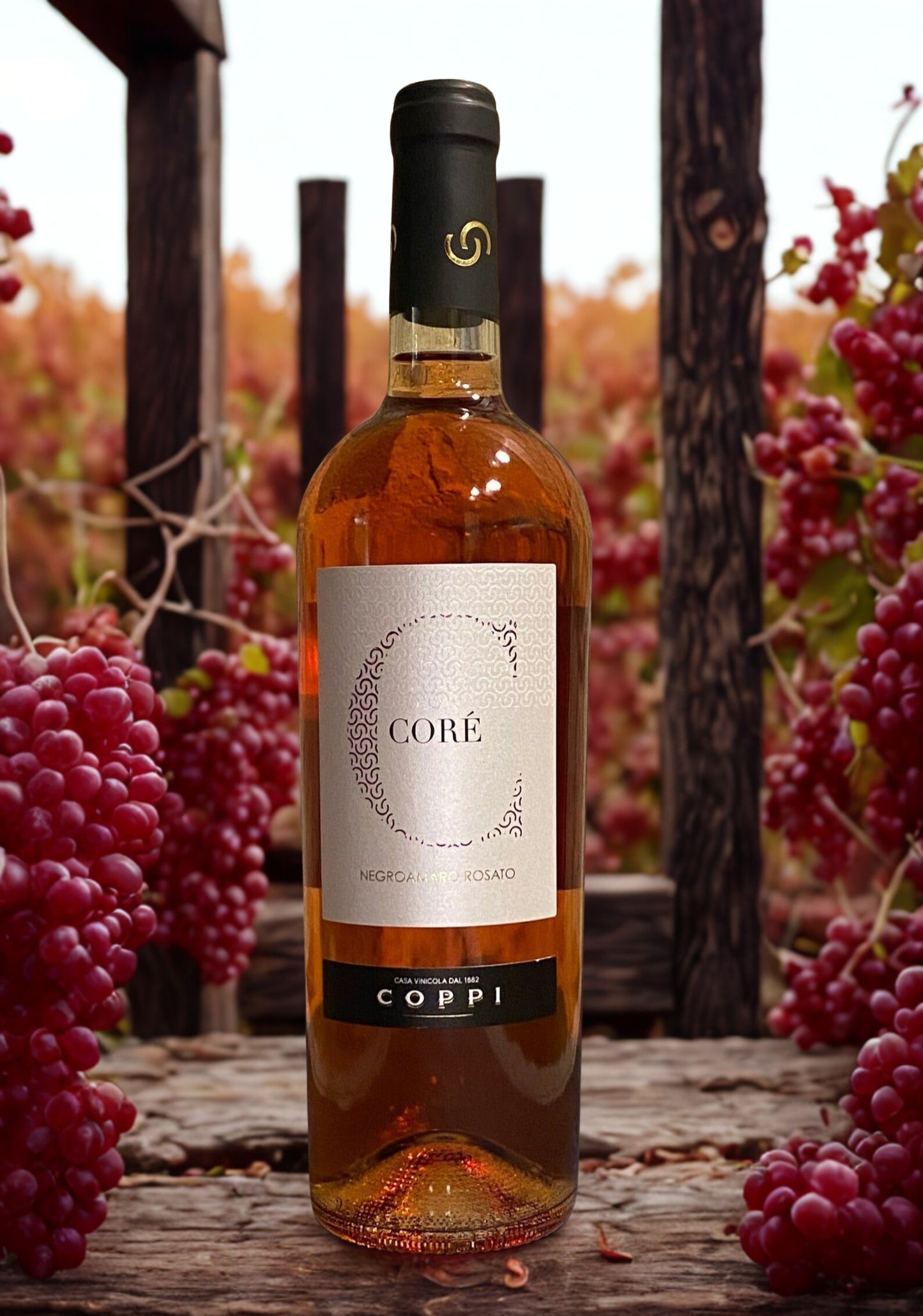 NEGROAMARO CORÈ ROSÉ IGP SALENTO-COPPI