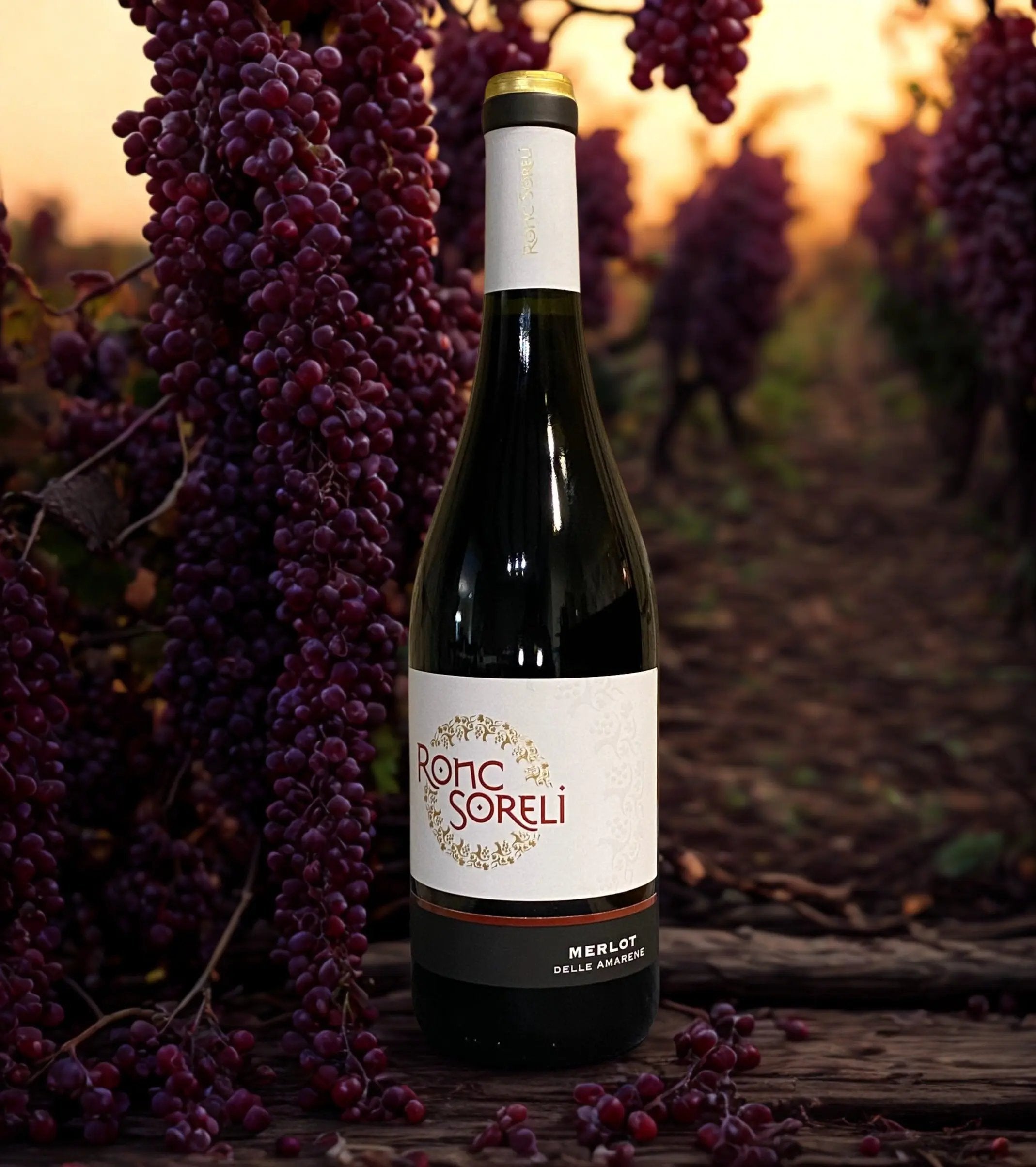 MERLOT DELLE AMARENE-RONC SORELI Ronc Soreli
