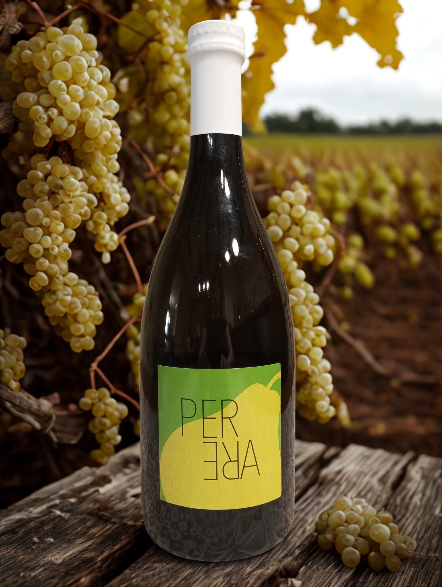 PER ARE-COL MIOTIN COL MIOTIN