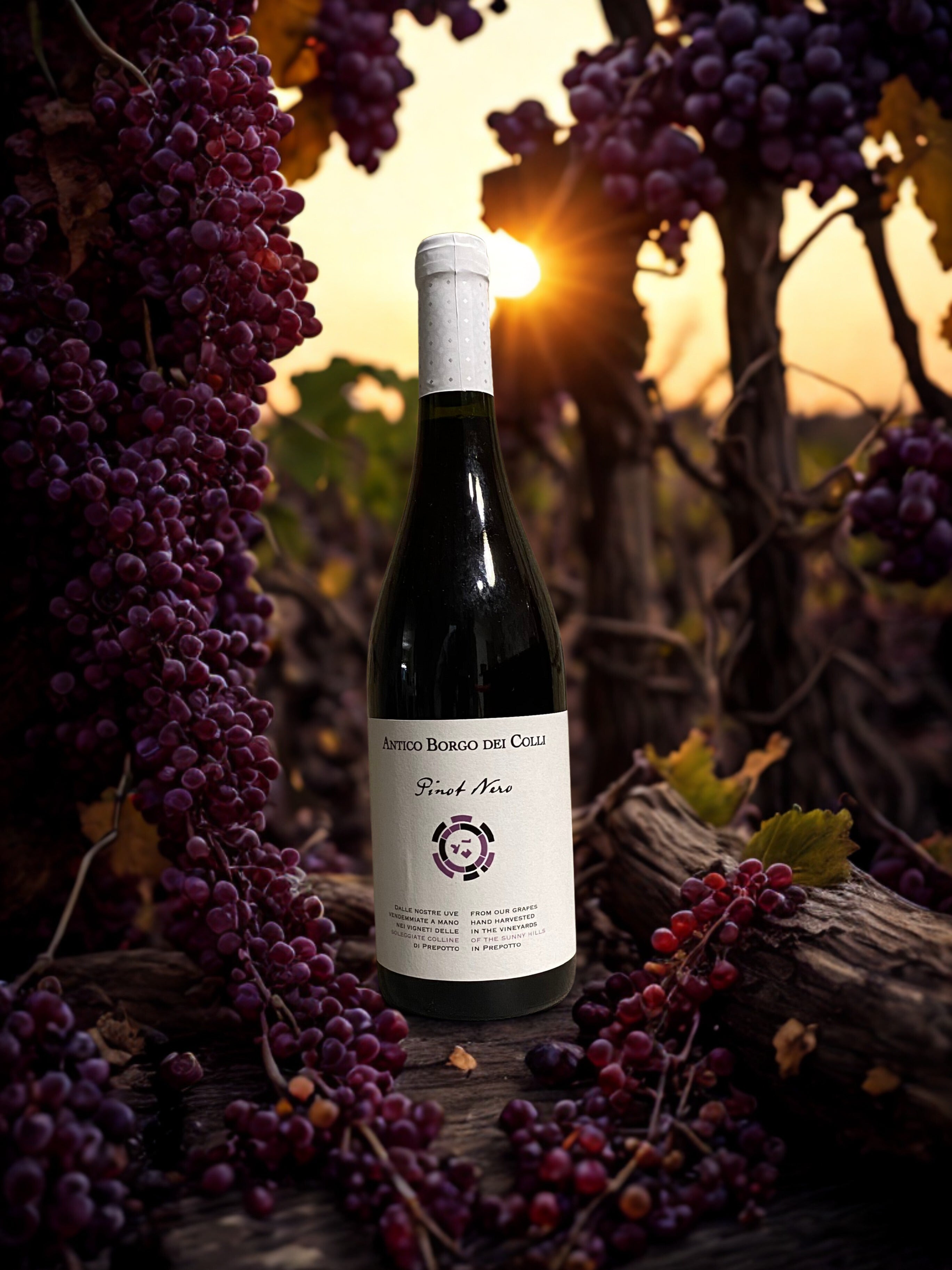 PINOT NERO-ANTICO BORGO DEI COLLI ANTICO BORGO DEI COLLI